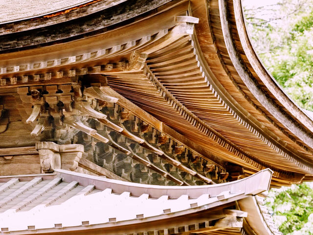 【東京の隠れ名所：600年の時を超えた正福寺地蔵堂】*
