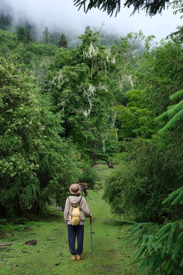 西藏林芝｜住進松贊睇日照金山真係正到爆！