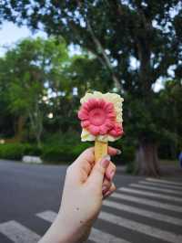 西雙版納2日遊：熱帶雨林探秘，獨特民族文化體驗