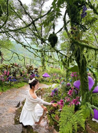 Linyi's 25°C Magical Summer Wonderland! Become a Forest Fairy 🧚‍♀️
