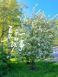 探索北歐音符森林！赫爾辛基西貝流士公園全攻略