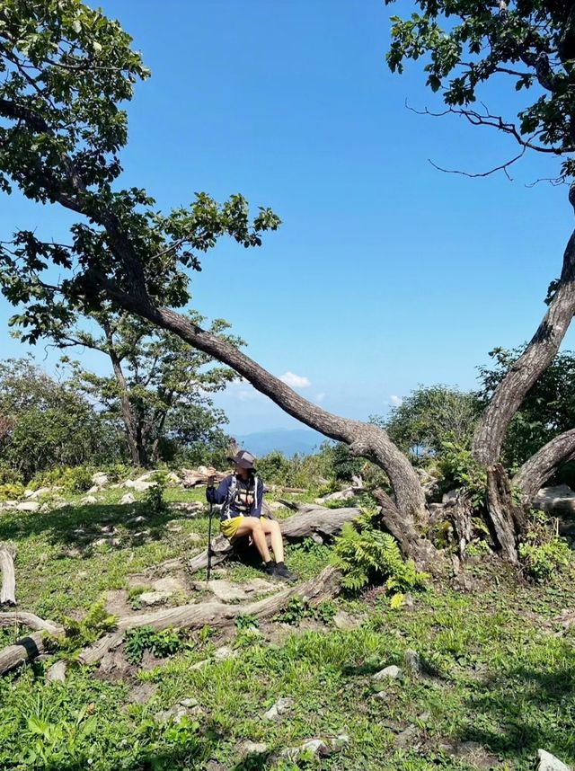本溪｜淌石溝-東大崗-刺花溝