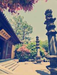 杭州・慧因高麗寺　千年の歴史と美しい庭園を訪ねて​