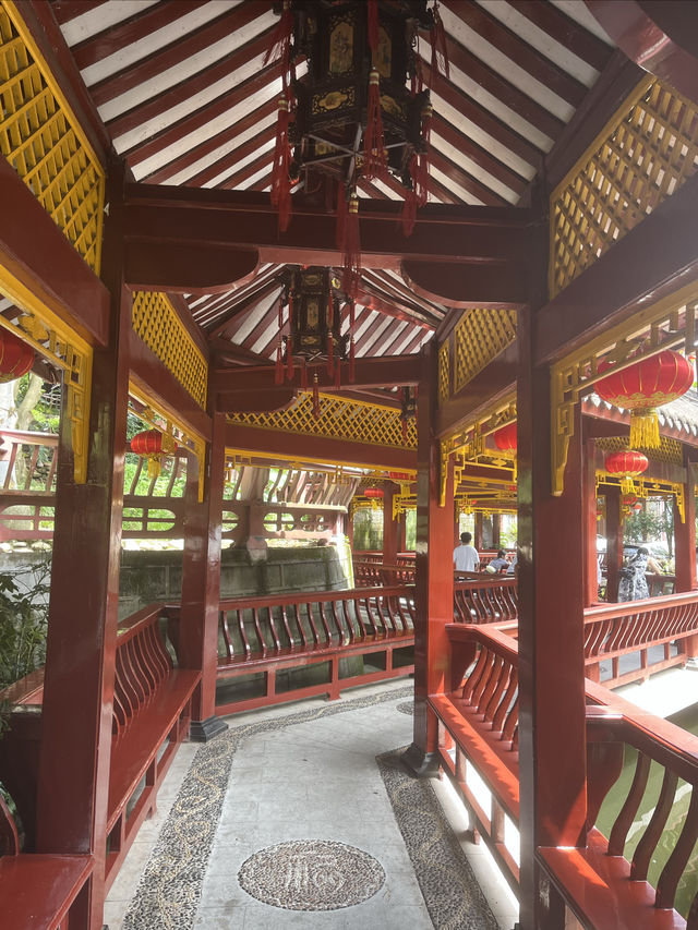 夏日賞荷，感受一份美好與寧靜