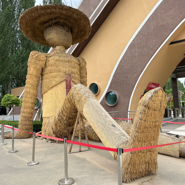 Shenzhou Desert Wildlife Zoo - 神州荒漠野生动物园!