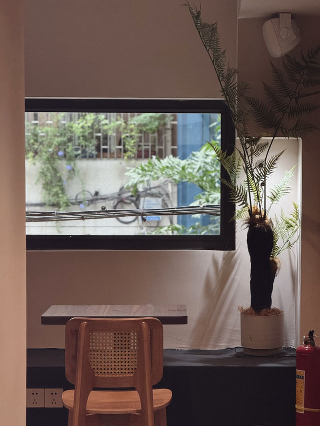 日光隨機灑落窗外老屋綠植之間，如夢境般奇幻。