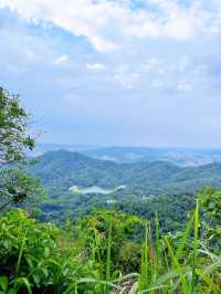 廣州登山必去摩星嶺綠肺徒步攻略