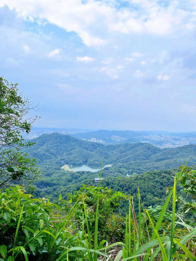 廣州登山必去摩星嶺綠肺徒步攻略