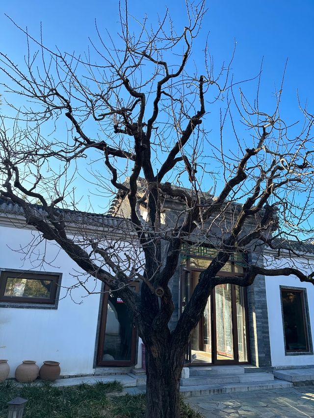 北京觀舍西山必打卡