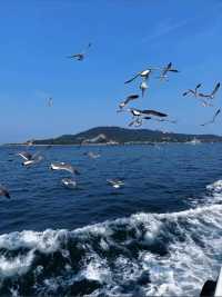 青島五日深度遊攻略