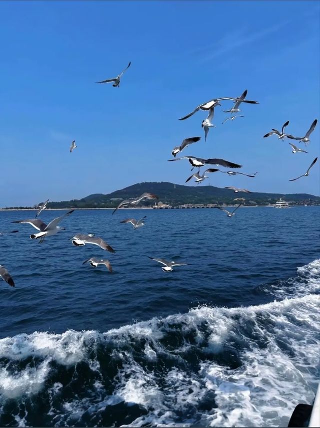 青島五日深度遊攻略