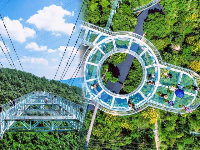 桐廬OMG心跳樂園