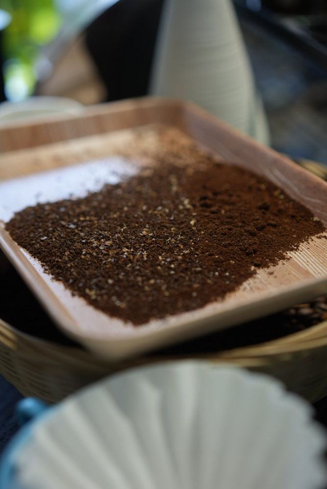 冷門好玩執菌採茶普洱四天三晚親子全攻略