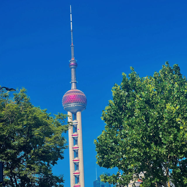 A day in Shanghai 🇨🇳 🏙️ 