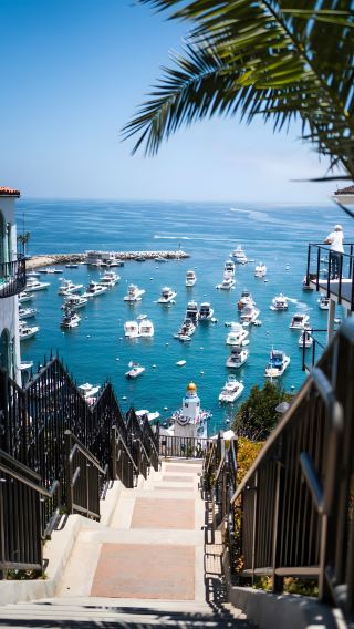 LAからわずか1時間の“ゼリーの海”の裏庭!