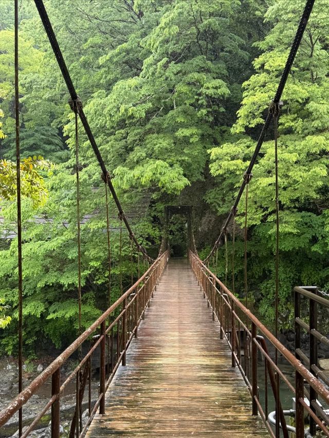 【日本小眾私湯】伊豆百年溫泉旅館沉浸式體驗匠人文化