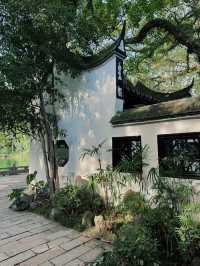 福州西湖公園桂齋，滿園關不住的光影畫 🍃