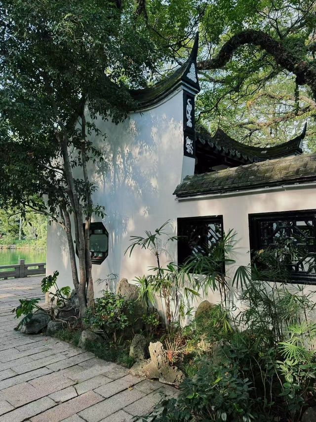福州西湖公園桂齋，滿園關不住的光影畫 🍃