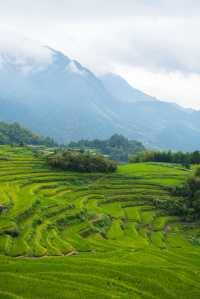 在麗水的山水褶皺裡藏著這樣一處「反向旅行」