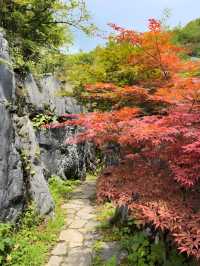 重慶仙女山自駕遊全攻略尋找那片洗滌心靈的綠野仙蹤