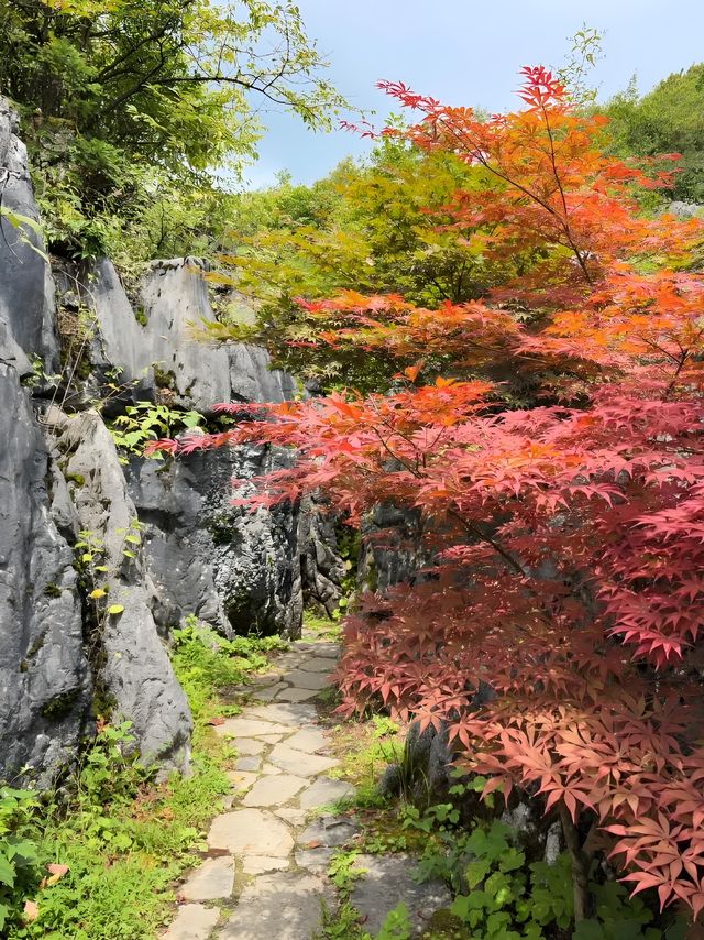 重慶仙女山自駕遊全攻略尋找那片洗滌心靈的綠野仙蹤