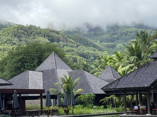 Wonderful Resort Experience With Excellent Amenities and Service
