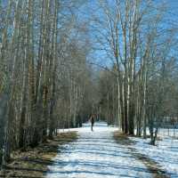 🎿 Cross-Country Skiing in Helsinki – Gliding Through a Winter Dream