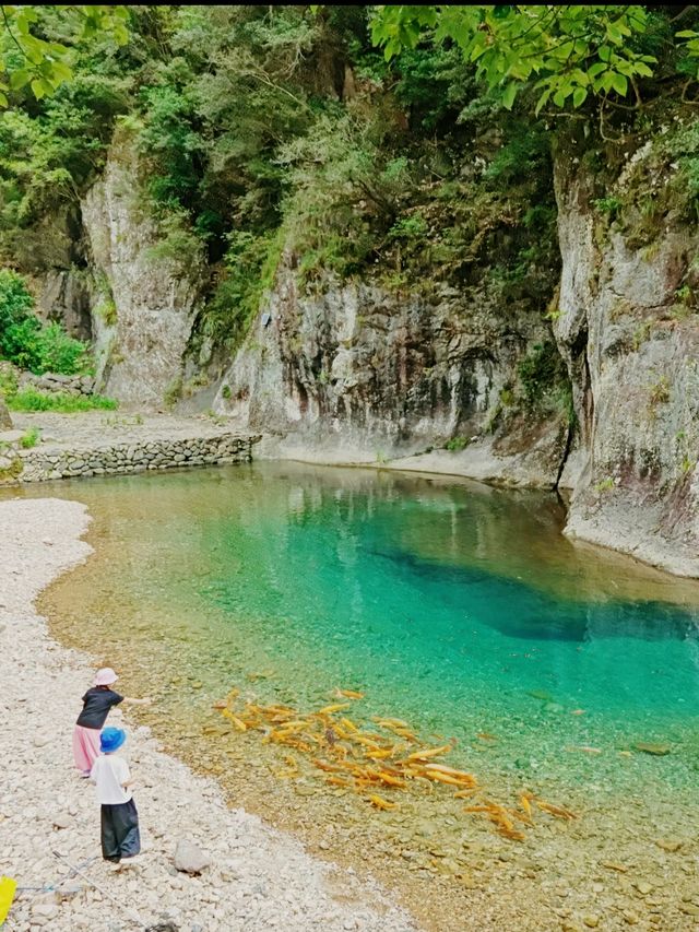 台州淡竹親子週末遊:山水間的自然童趣 台州淡竹親子週末遊:山水間的自然童趣