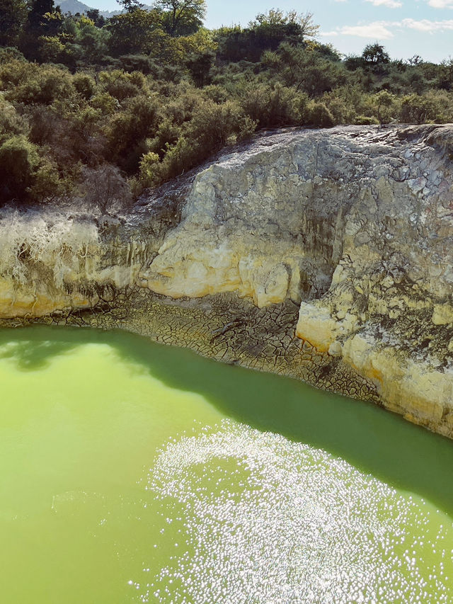 🌿 Waitopu Valley: Where Avocado Groves Meet Geothermal Magic! ♨️🥑