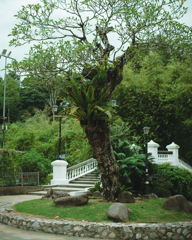 吉隆坡私藏！免費殖民風植物園+1h車程森林民宿，打工人週末躺