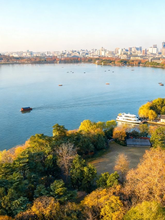 秋日西湖漫步｜闖入被梧桐葉染黃的治癒系電影畫面