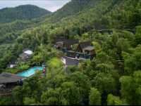 秋日竹林書香的靜謐時光