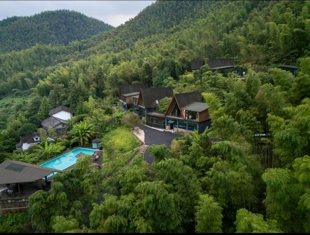 秋日竹林書香的靜謐時光