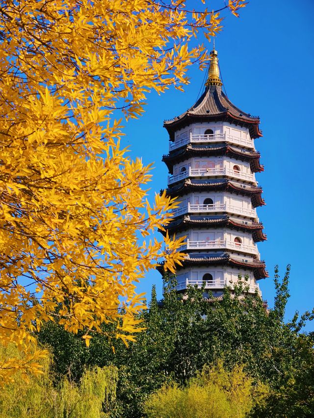 探秘北寧公園一步一景的秋日風情