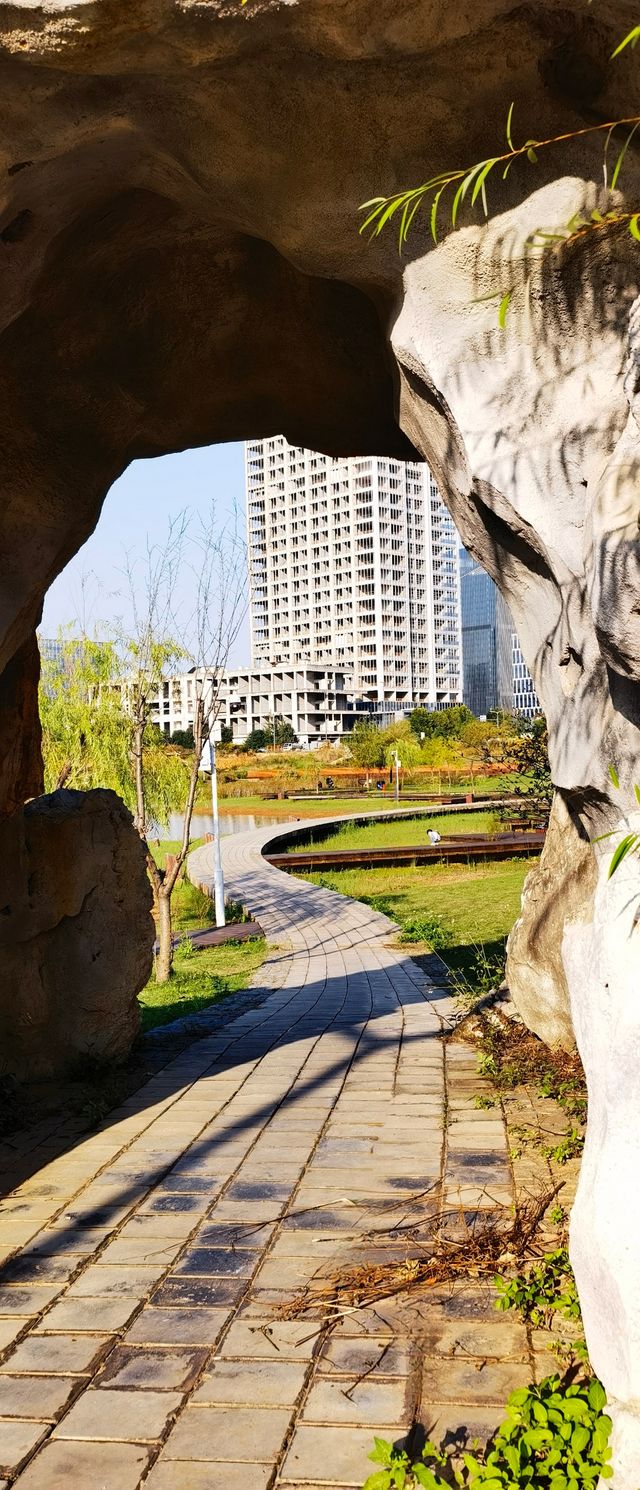 光谷賞秋秘境，與高樓同框