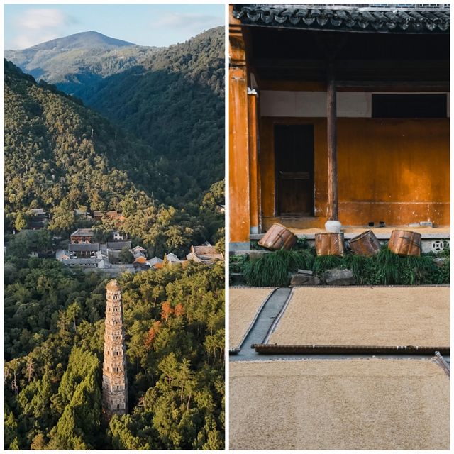 秋風微涼，稻穀滿倉：自耕自食的低調佛國，1400年不收門票