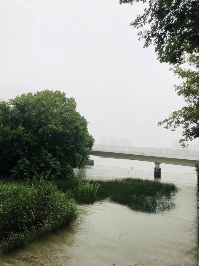 藏在上海的 “綠野仙蹤”,畝中山水園帶你邂逅江南詩畫夢境! 藏在上海的 “綠野仙蹤”,畝中山水園帶你邂逅江南詩畫夢境!