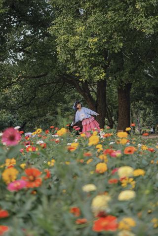 다채로운 꽃바다가 오픈했습니다! 가을은 거꾸로 된 봄입니다