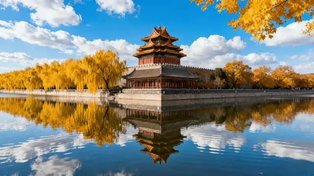 踏秋遊故宮，落葉與宮牆共繪詩意