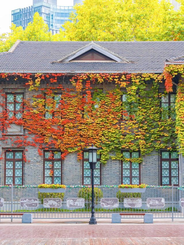 南京總統府秋日限定中國最美窗戶也太絕了吧！