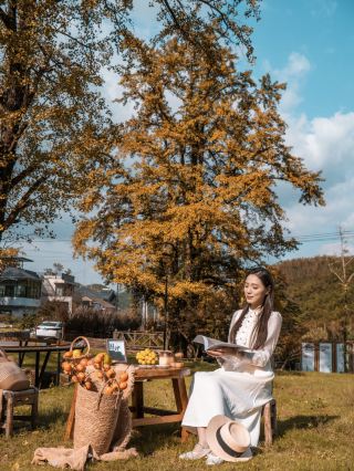 杭州周邊百年銀杏下圍爐煮茶浪漫的深秋