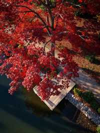 如果秋天是上帝嘅調色盤,咁雲平山,無疑係其中最醉人嘅嗰一抹仙境。