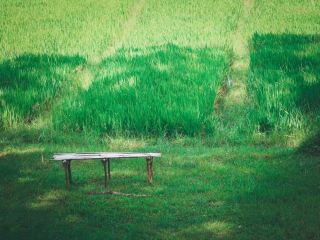 斯里蘭卡｜蒼穹之下，唯有一石