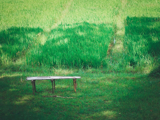 斯里蘭卡｜蒼穹之下，唯有一石