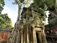 探秘@柬埔寨吳哥窟