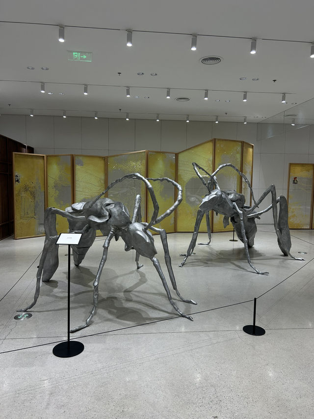 深圳 เซินเจิ้น1วัน 深圳 เซินเจิ้น1วัน