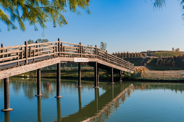 烏村的秋，藏在被忽略的細節裡