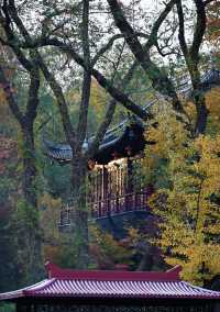 棲霞山賞秋｜南京的秋日浪漫，藏在這片紅楓裡