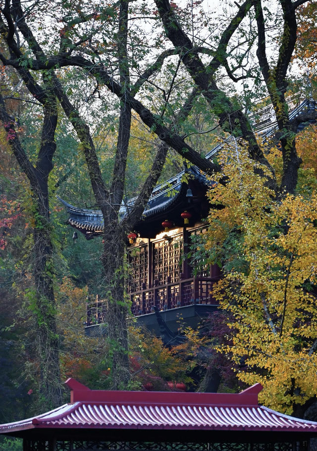 棲霞山賞秋｜南京的秋日浪漫，藏在這片紅楓裡