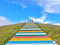 藏在貴州的 “高山小草原”，騎馬看雲超治癒！  貴州一處能 “假裝在內蒙古” 的寶藏地 —— 二台坡